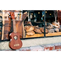 Kala KA-15S Soprano Ukulele