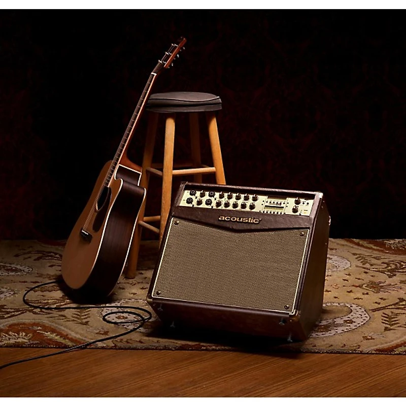 Acoustic A1000 Acoustic Instrument Amp