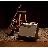 Acoustic A1000 Acoustic Instrument Amp