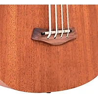 Gold Tone 25" Scale Acoustic-Electric MicroBass Natural