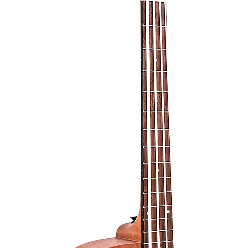 Gold Tone 25" Scale Acoustic-Electric MicroBass Natural