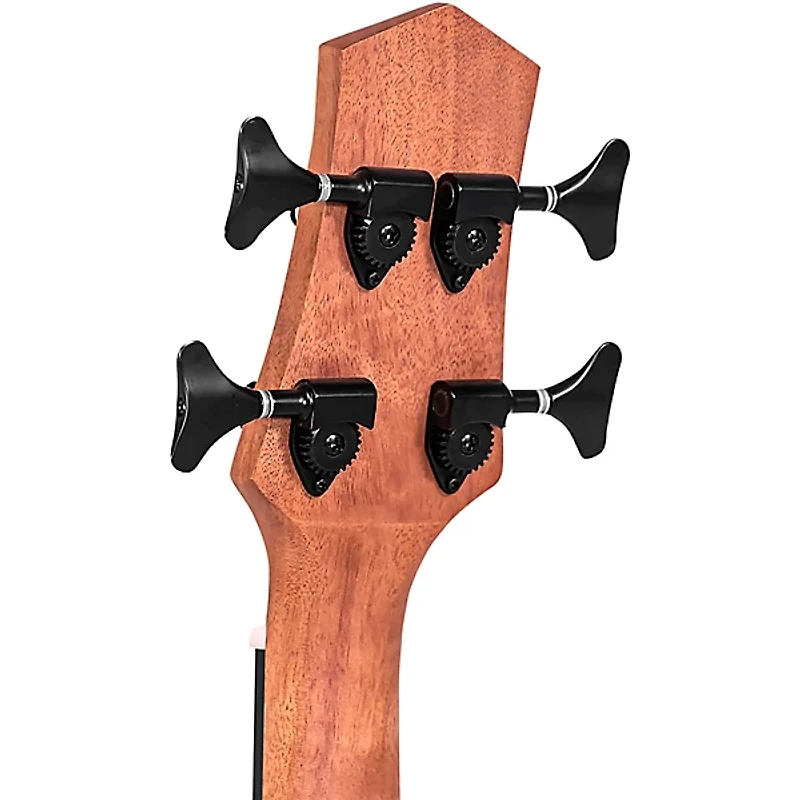 Gold Tone 25" Scale Acoustic-Electric MicroBass Natural