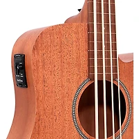 Restock Gold Tone M-Bass25FL 25" Scale Fretless Acoustic-Electric Bass Guitar - Natural