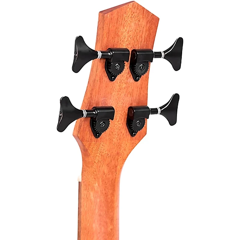 Restock Gold Tone M-Bass25FL 25" Scale Fretless Acoustic-Electric Bass Guitar - Natural