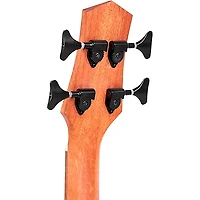 Restock Gold Tone M-Bass25FL 25" Scale Fretless Acoustic-Electric Bass Guitar - Natural