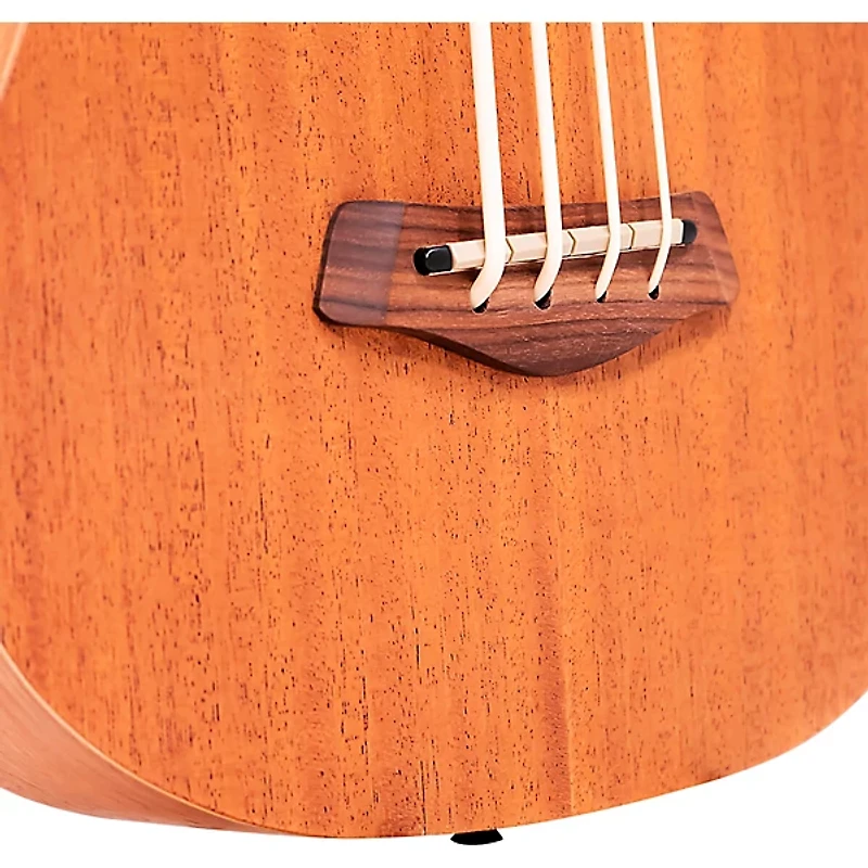 Gold Tone M-BassFL 23" Scale Fretless Acoustic-Electric Bass Guitar - Natural