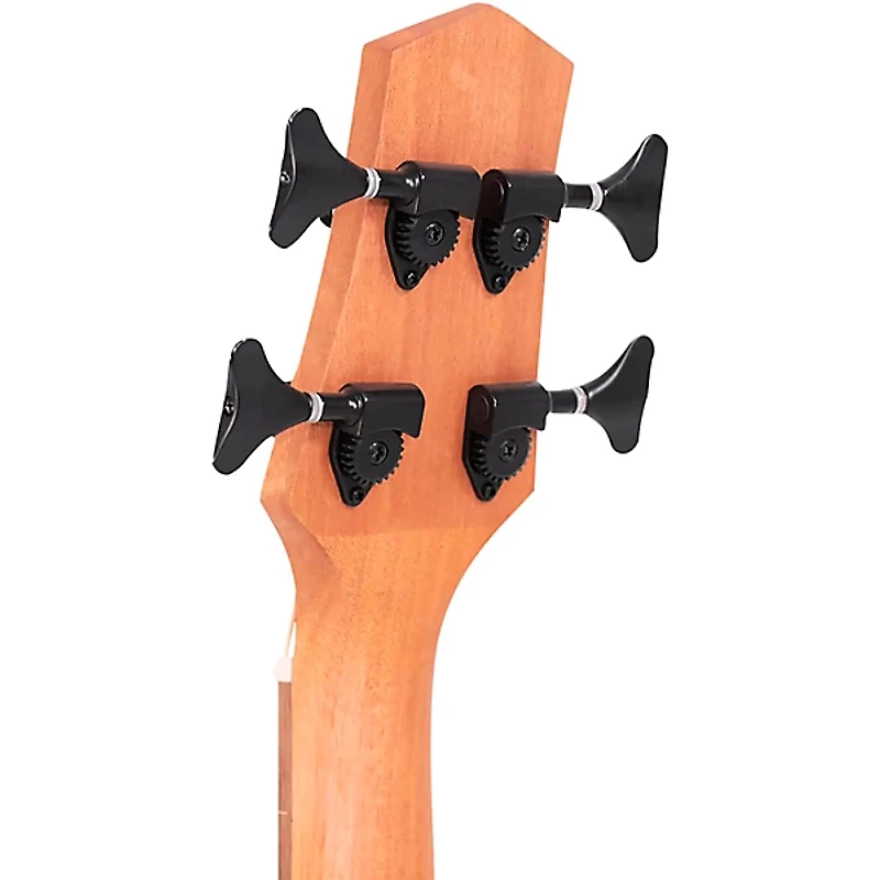Gold Tone M-BassFL 23" Scale Fretless Acoustic-Electric Bass Guitar - Natural