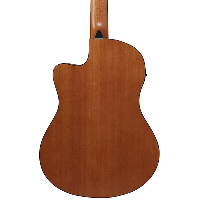 Ibanez GA3ECE Cutaway Acoustic-Electric Guitar Amber