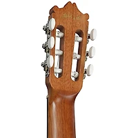 Ibanez GA3ECE Cutaway Acoustic-Electric Guitar Amber