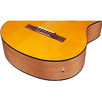 Ibanez GA3ECE Cutaway Acoustic-Electric Guitar Amber