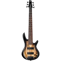 Ibanez GSR206SM 6-String Electric Bass Guitar Natural Gray Burst