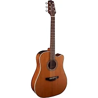 Takamine GD20CE-NS Dreadnought Cutaway Acoustic-Electric Guitar Natural