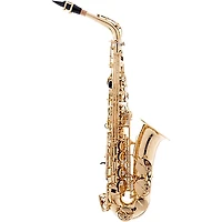 Yamaha YAS-82ZII Custom Series Alto Saxophone