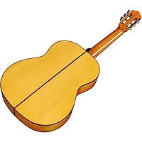 Cordoba F10 Nylon String Acoustic Guitar Natural