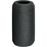 Audio-Technica AT5045 Condenser Microphone