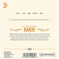 D'Addario EJ61 Nickel 5-String Medium Banjo Strings (10-23)