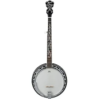 Ibanez B300 5-String Banjo with Rosewood Resonator Natural