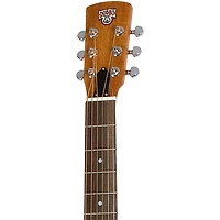 Dobro Hound Dog M-14 Metalbody Nickel