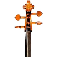 Strobel MC-500 Recital Series Cello Outfit 4/4 Size
