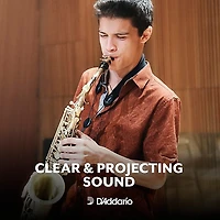 Rico Alto Saxophone Reeds, Box of 10
