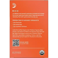 Rico Soprano Saxophone Reeds, Box of 10