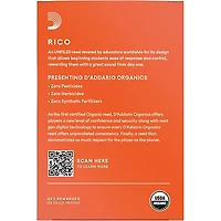 Rico Soprano Saxophone Reeds, Box of 10