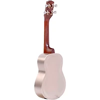 Gold Tone ResoUke Resonator Ukulele Brushed Metal