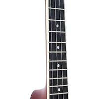 Gold Tone ResoUke Resonator Ukulele Brushed Metal