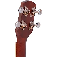 Gold Tone ResoUke Resonator Ukulele Brushed Metal