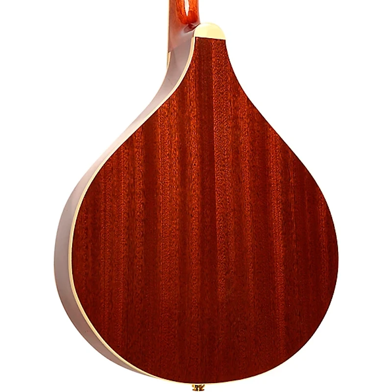 Gold Tone OM-800+ Octave Mandolin Natural