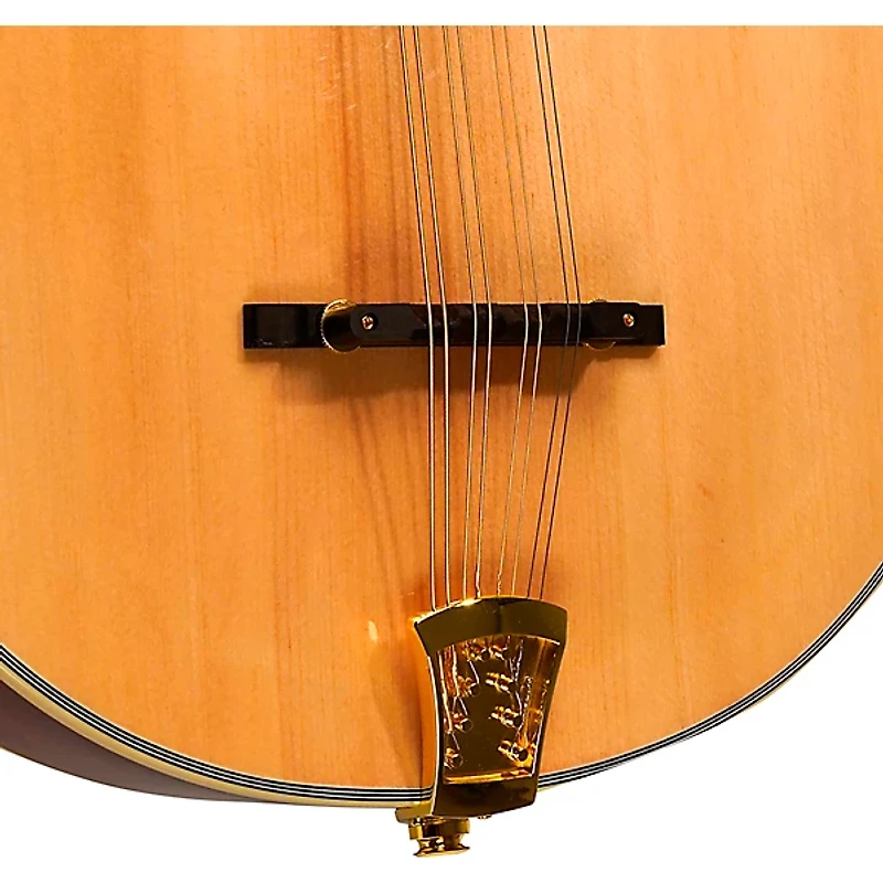 Gold Tone OM-800+ Octave Mandolin Natural