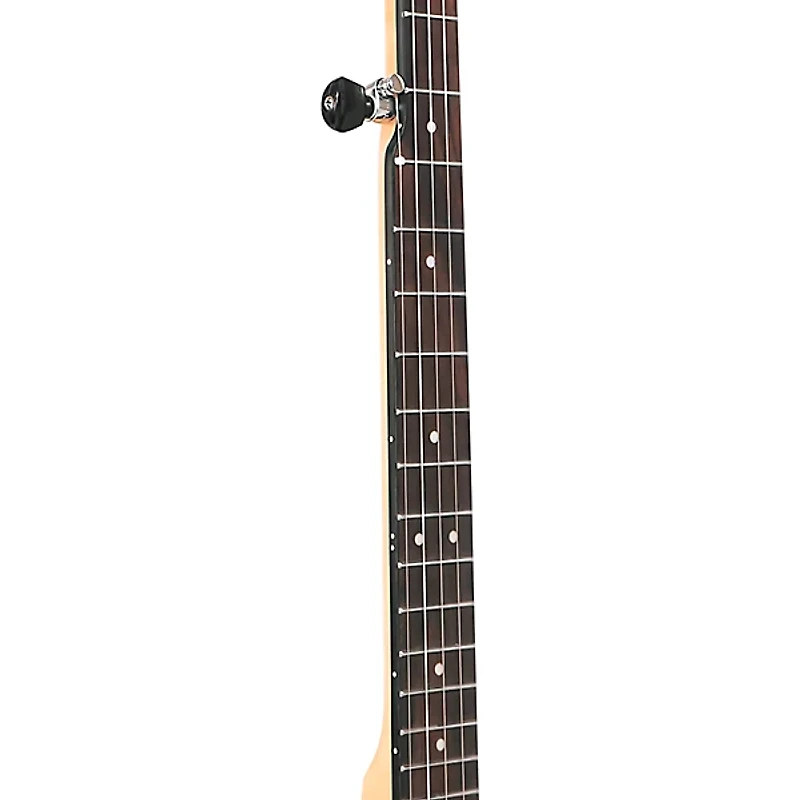 Gold Tone EB-5 Electric Banjo Natural
