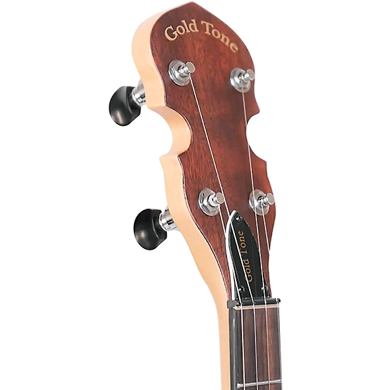 Gold Tone EB-5 Electric Banjo Natural