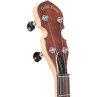 Gold Tone EB-5 Electric Banjo Natural