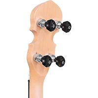 Gold Tone EB-5 Electric Banjo Natural