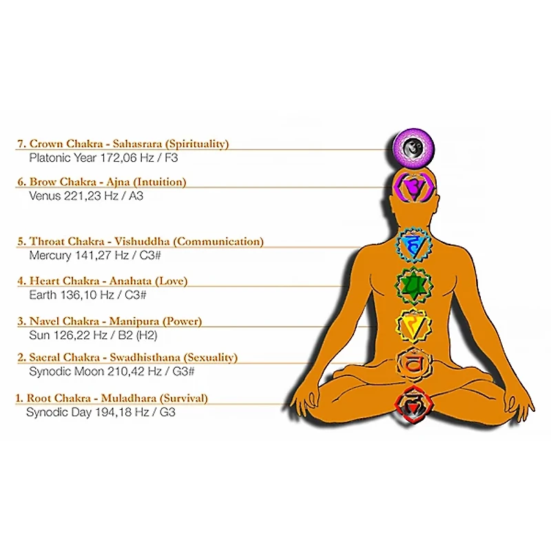 MEINL Sonic Energy 7-Piece Energy Chime Chakra Set