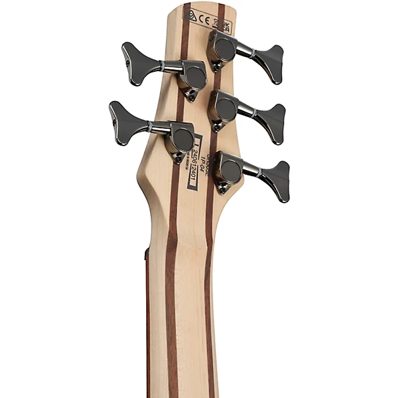Ibanez SR305E 5-String Electric Bass