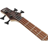 Ibanez SR300EB 4-String Electric Bass Guitar