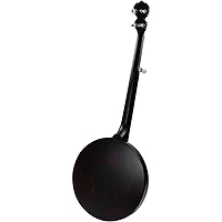 Deering Artisan Goodtime II 5-String Resonator Banjo
