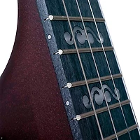 Deering Artisan Goodtime II 5-String Resonator Banjo