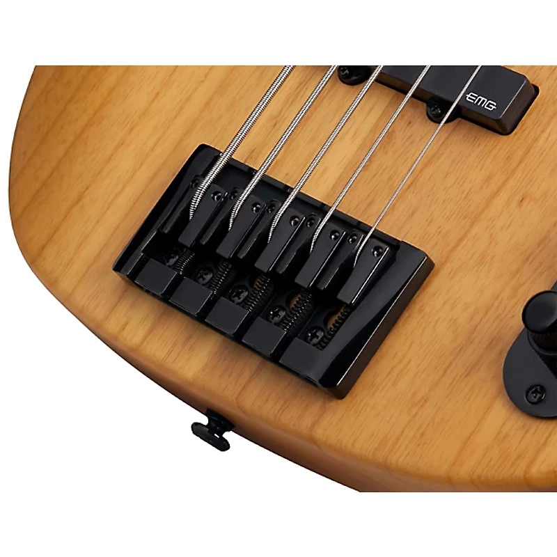 Schecter Guitar Research Model-T Session-5 5-String Bass