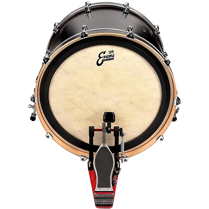 EVANS EMAD Calftone Tom Head for Floor Tom Conversion 16 in.