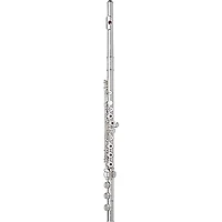 Wm. S Haynes Amadeus AF580-BO Flute Sterling Silver Riser and Lip Plate