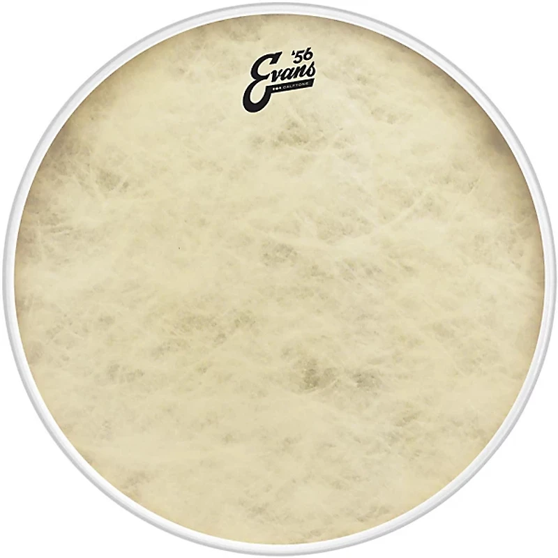 EVANS EQ4 Calftone Bass Drum Head