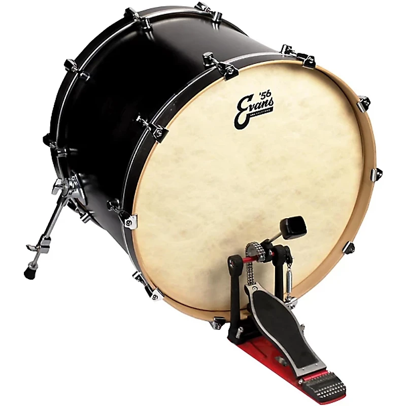 EVANS EQ4 Calftone Bass Drum Head