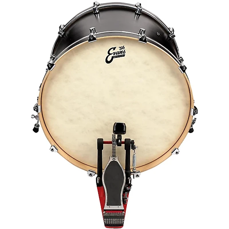 EVANS EQ4 Calftone Bass Drum Head