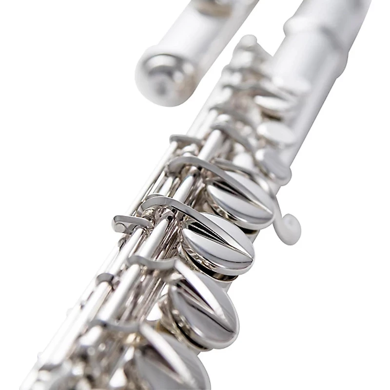 Wm. S Haynes Amadeus AF670 Alto Flute