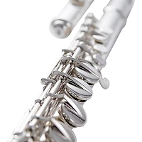Wm. S Haynes Amadeus AF670 Alto Flute