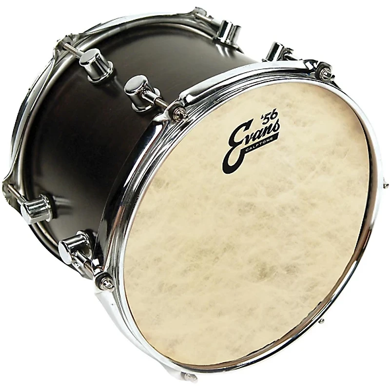 EVANS Calftone Drum Head