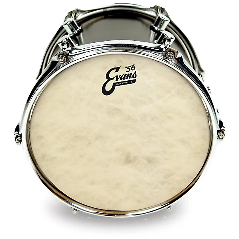 EVANS Calftone Drum Head